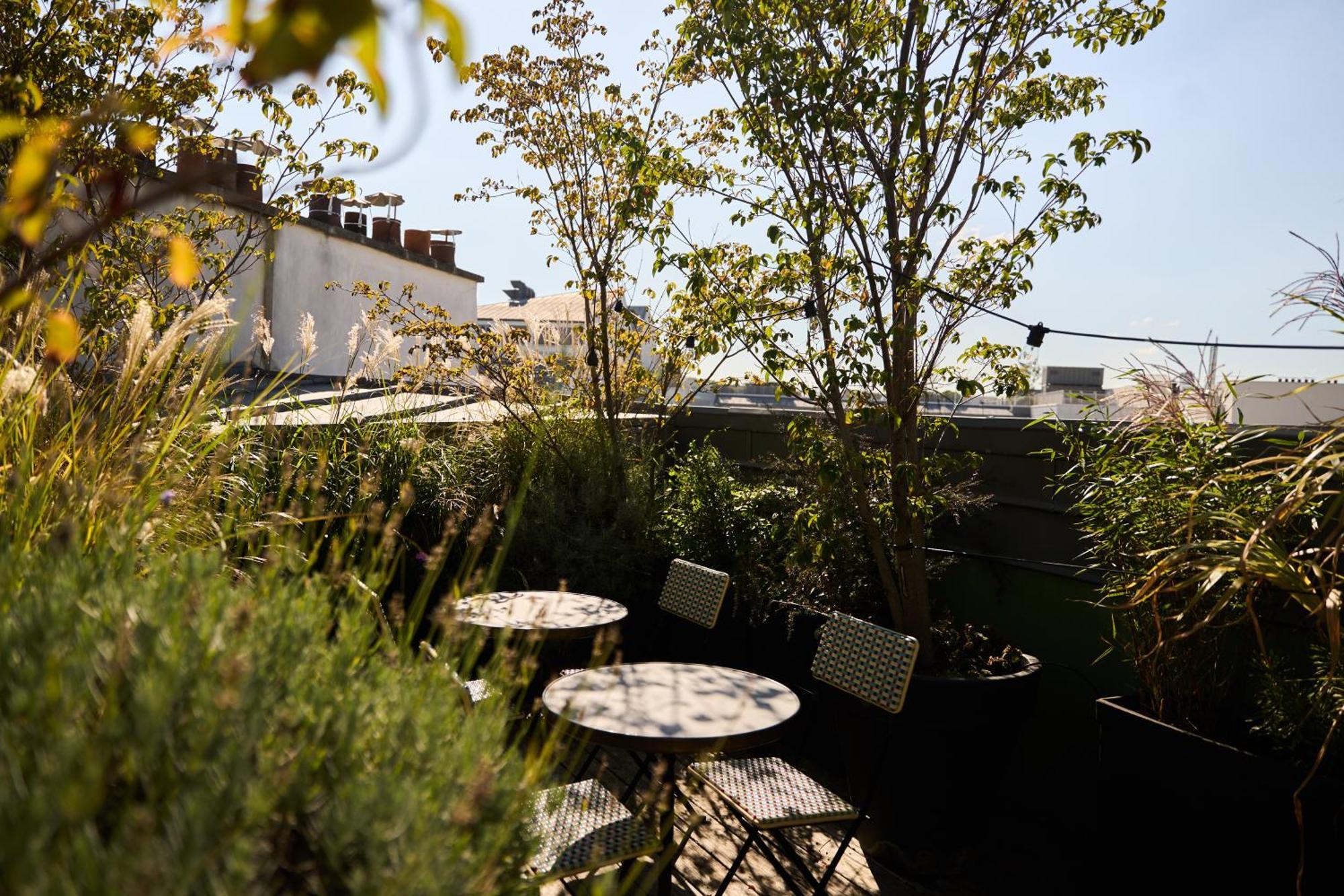 Double Room Terrace